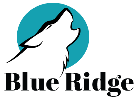 Blue Ridge: Legal Nurse Consulting